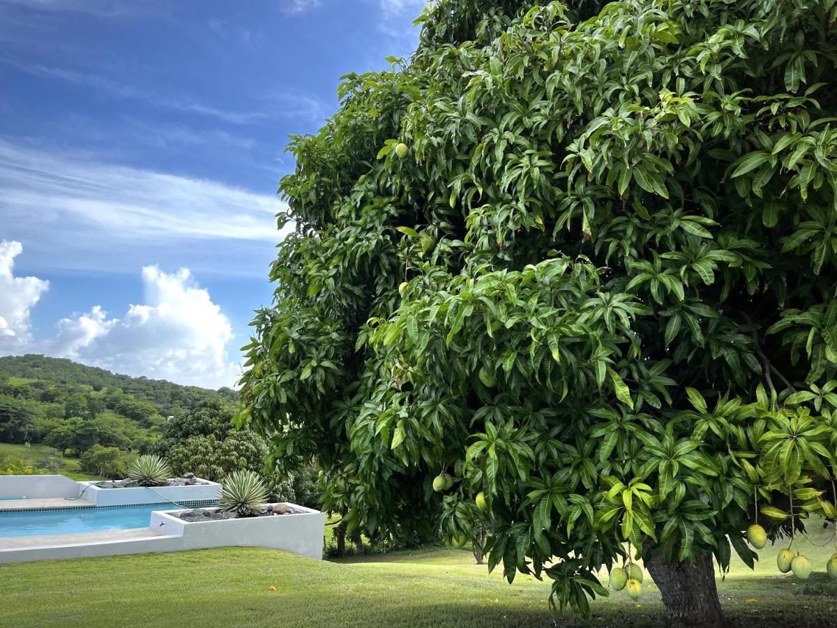 Lejos Eco Retreat Hotel Vieques Exterior photo